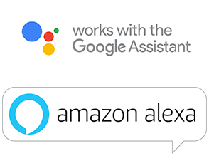 googleandalexa